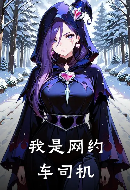 我是网约车司机